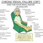 Reasons for Chronic Renal failure
