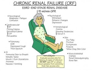 Reasons for Chronic Renal failure