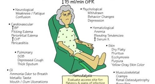 Reasons for Chronic Renal failure